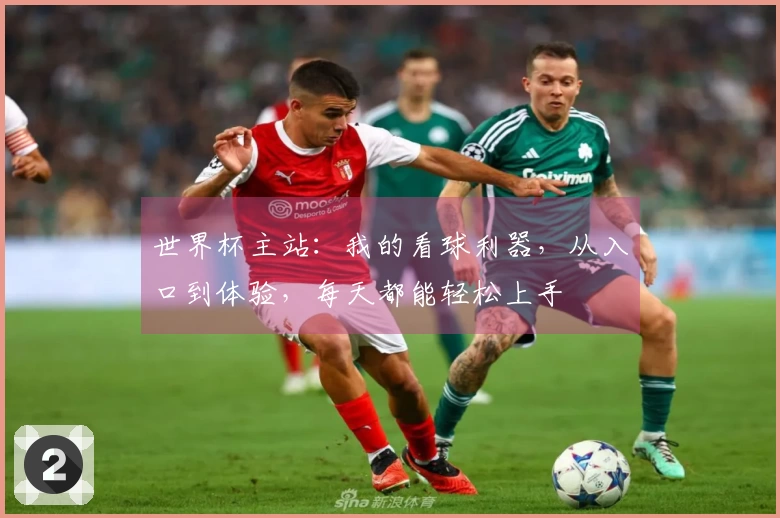 世界杯主站：我的看球利器，从入口到体验，每天都能轻松上手