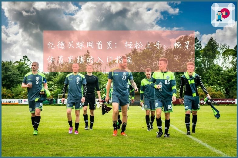 亿德买球网首页：轻松上手，畅享体育直播的入门指南