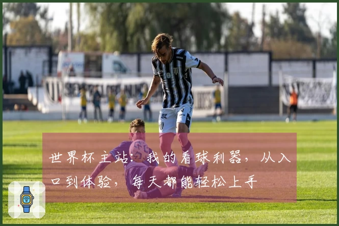 世界杯主站：我的看球利器，从入口到体验，每天都能轻松上手