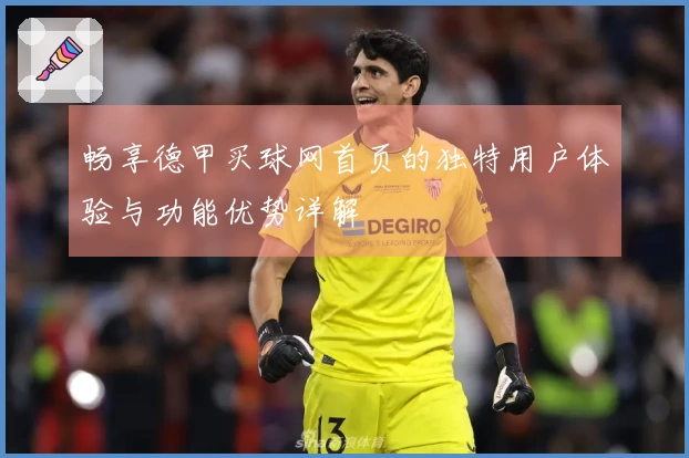 畅享德甲买球网首页的独特用户体验与功能优势详解