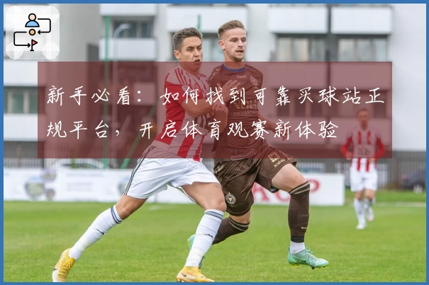 新手必看：如何找到可靠买球站正规平台，开启体育观赛新体验