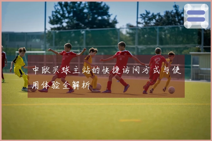 中欧买球主站的快捷访问方式与使用体验全解析